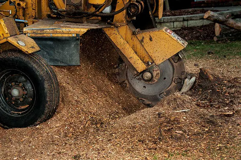 stump grinder stopped working