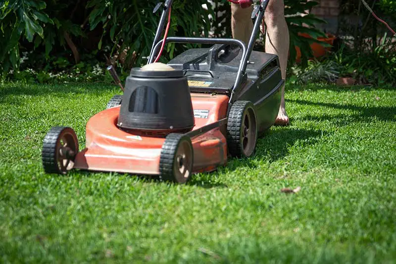 best time to buy lawn mower