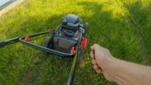 lawn mower pull cord
